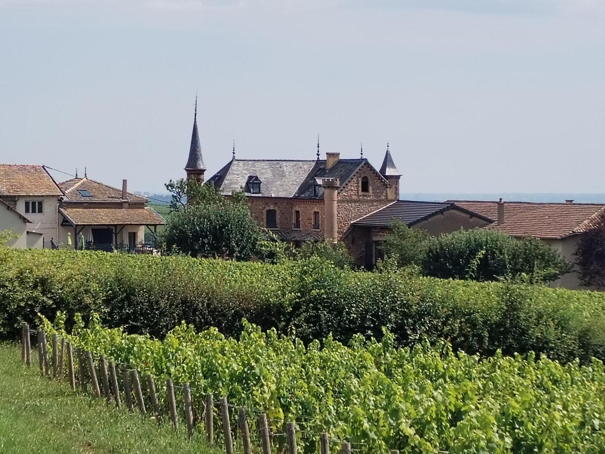 Le Petit Chateau De Sathonat - Horizon Paradis Saint-Amour-Bellevue Esterno foto